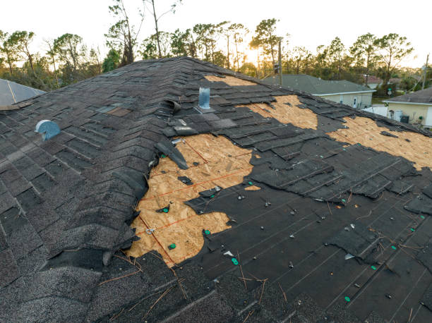 Best Roofing for New Construction  in Apalachin, NY